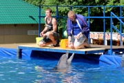 Летний дельфинарий в Измайловском парке