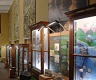 Выставка «История Земли» в Геологическом музее им. Вернадского